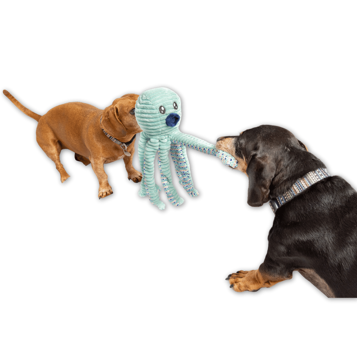 Corduroy Octo-Tug Dog Toy
