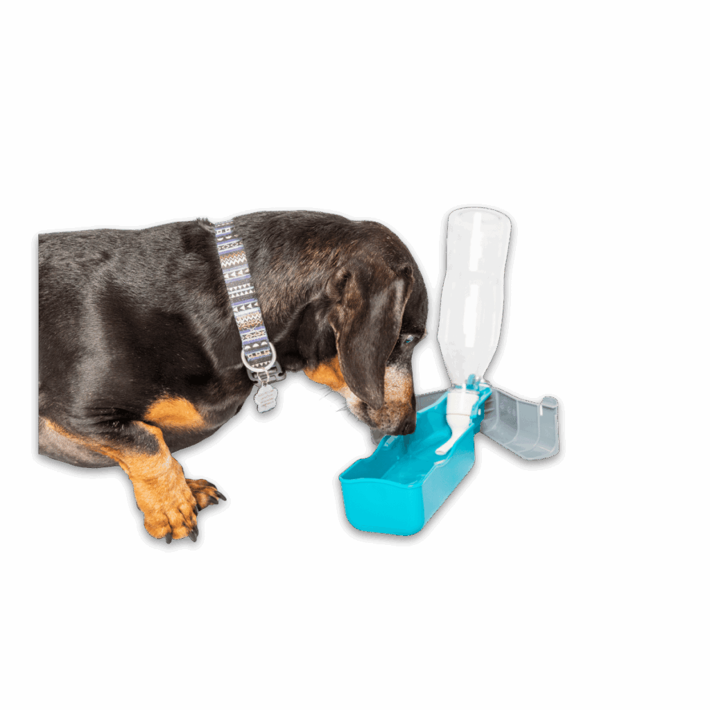 Portable Travel Water Bottle – Fold-Out Drinking Trough for Dogs — photo 2