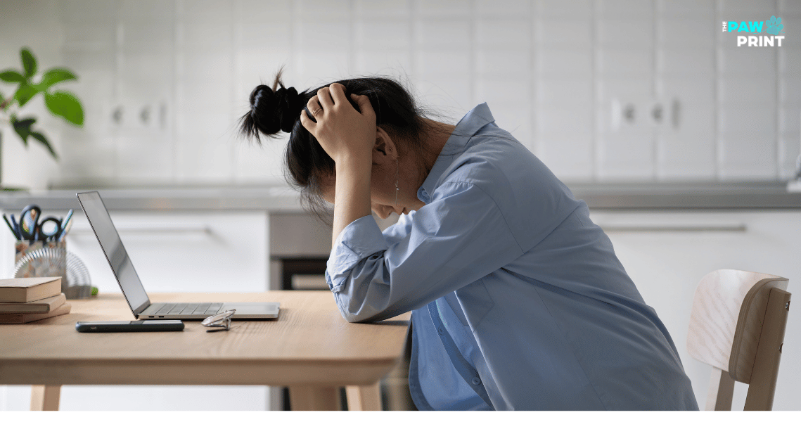 You Don’t Hate Work, You Hate Work That Doesn’t Mean Anything