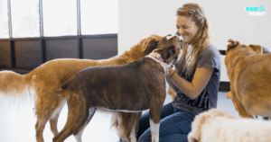 The Quiet Career Change